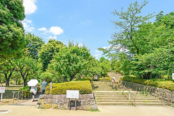 周辺を拡大表示
