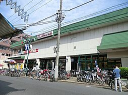 [周辺] スーパー 739m マルエツ行徳店(徒歩圏内でスーパーが比較できるのは家計に優しいですね！徒歩10分！)