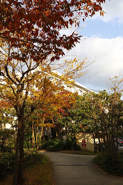 画像14:秋には紅葉がきれいです。