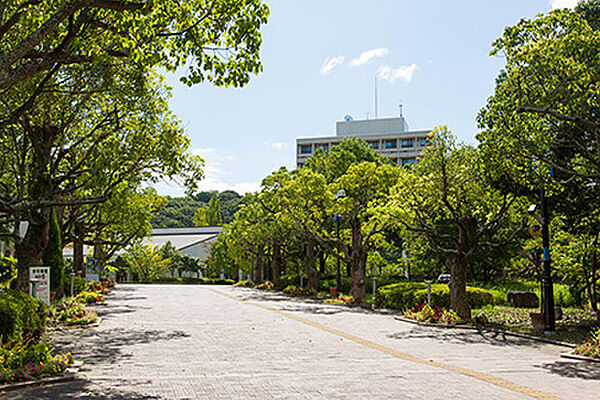 画像8:大学1「神戸市外国語大学(キャンパス)まで650ｍ」周辺には「神戸市外国語大学」「神戸芸術工科大学」「兵庫県立大学」など教育機関が密集していて、研究学園都市の名のとおりアカデミックな雰囲気。学生街のよ