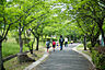 周辺：公園「松尾公園まで1199ｍ」近隣住人のリラクゼイションスポット