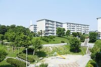 兵庫県神戸市垂水区本多聞4丁目：物件画像／独立行政法人都市再生機構　UR神戸営業センター