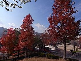 UR東山台ハイツ  ｜ 兵庫県西宮市東山台2丁目（賃貸マンション2LDK・3階・66.16㎡） その14