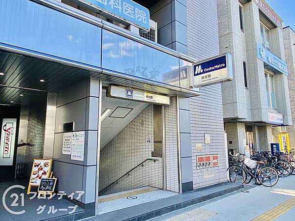 周辺を拡大表示
