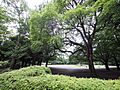 夏の雲公園65...