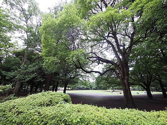夏の雲公園65...