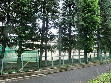 練馬区立貫井中学校まで約550m