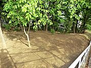 中台ならの木公園まで約345m