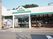 マルエツ成増団地店まで約350m