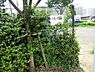 周辺：コーポレート児童遊園まで約519m