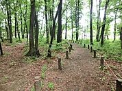 清戸自然公園まで約746m