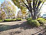周辺：三鷹市立連雀中央公園まで約3200m