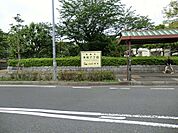 天沼弁天池公園まで約551m