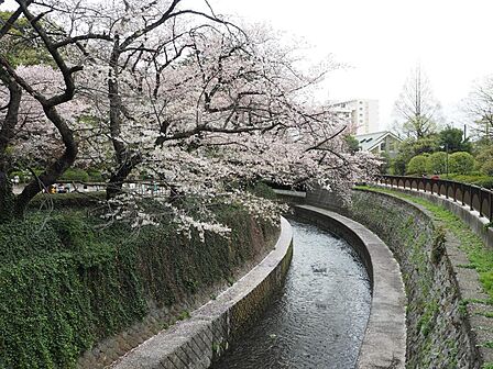 哲学堂公園まで約1400m