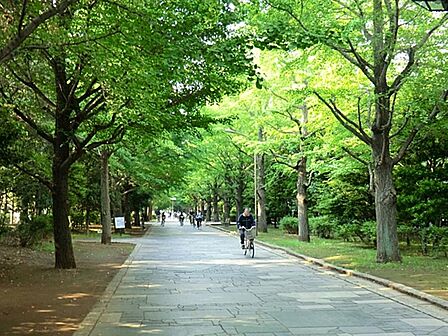 夏の雲公園まで約423m