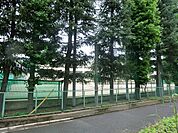 練馬区立貫井中学校まで約231m