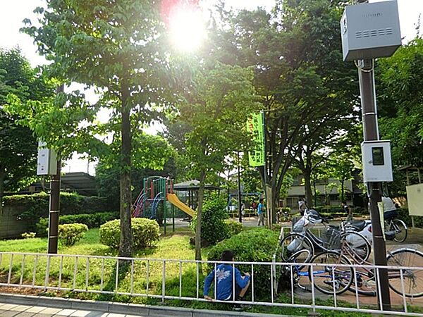 周辺を拡大表示