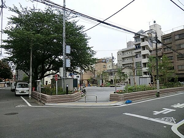 周辺を拡大表示