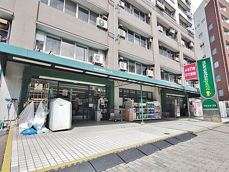 マルエツプチ東池袋五丁目店まで約242m