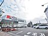 周辺：西友豊玉南店まで約556m