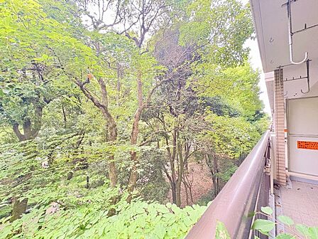 【View】眺望