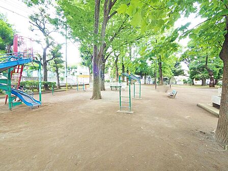 江原公園まで約495m
