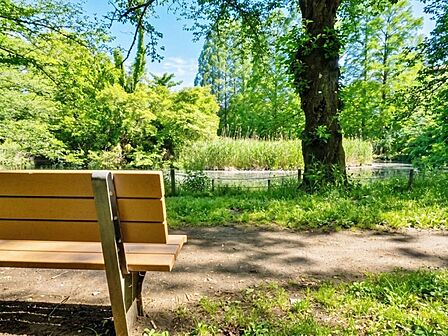 善福寺公園まで約600m