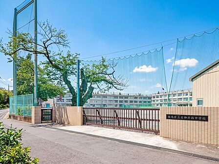 石神井西中学校まで約700m