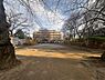 周辺：練馬区立北新井公園まで約500m