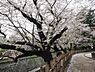 周辺：哲学堂公園まで約1000m