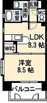 広島県福山市笠岡町（賃貸アパート1LDK・7階・39.91㎡） その2