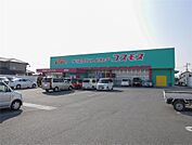 ドラッグストアコスモス 開成店(700m)