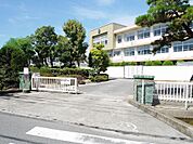 鍋島小学校(1、000m)