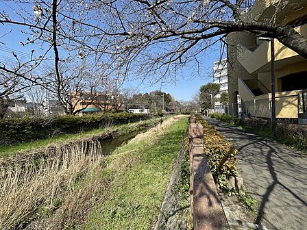 【外観】休日は家族でお散歩、緑あふれる街と快適な新築の住まいが暮らしを彩る。