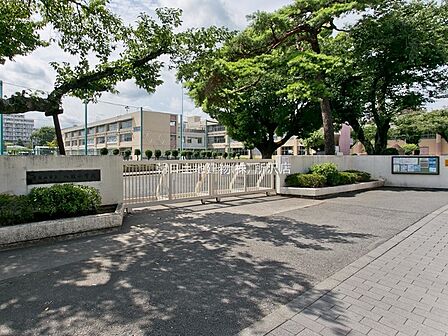 【小学校】東村山市立八坂小学校 748m