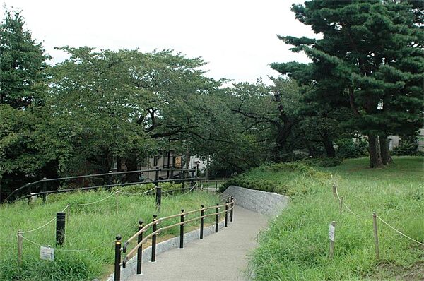 周辺を拡大表示