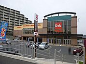 ベルク柏しこだ店 520m