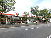コモディイイダ新松戸店 480m
