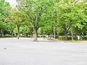 新松戸中央公園 740m