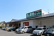 業務スーパー 常盤平店 1010m