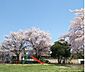 周辺：流山2号公園 510m
