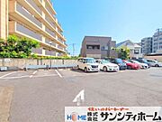 撮影日(2025-06-19 00:00:00)