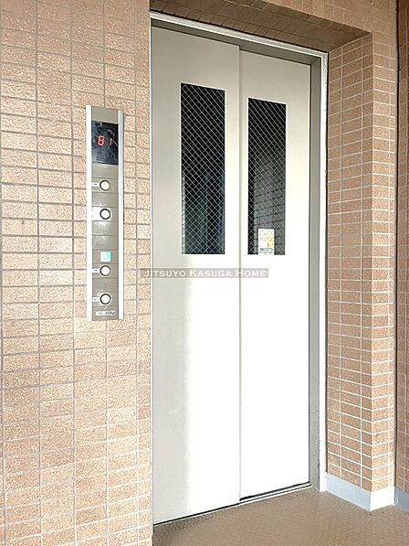 2026年8月撮影