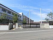大田区立志茂田中学校　距離７００ｍ