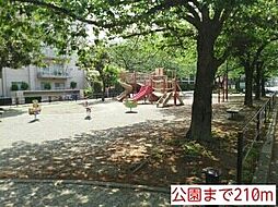 サマーハイツ