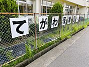 出川保育園まで　1100m　徒歩約14分●園の門前は緑道になっており、子どもたちは安全なこの道を散歩したり、公園で遊んだりして、四季折々の自然の素晴らしさに日々触れています。
