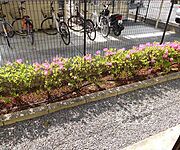 1Ｆからの眺望