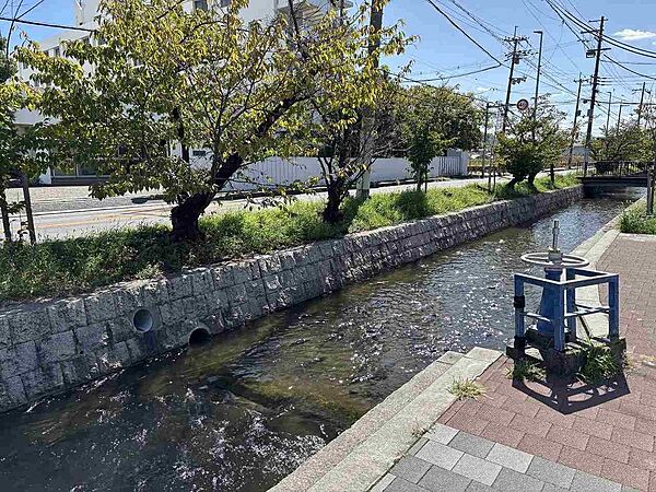 その他を拡大表示