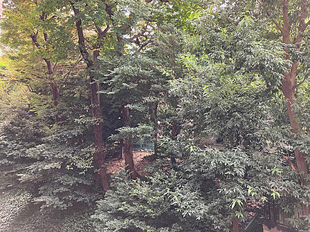 日々の暮らしに癒し・安らぎを与えてくれる植栽