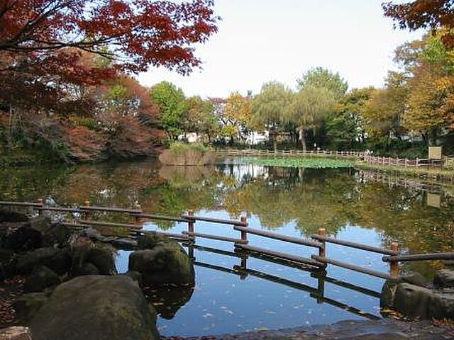 周辺